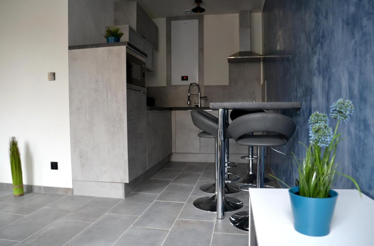 Le cyclade, appartement de standing en hyper-centre. Sarreguemines Buitenkant foto
